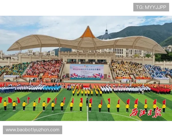 在B体育集团官网上学习体育文化与运动精神的深度解读