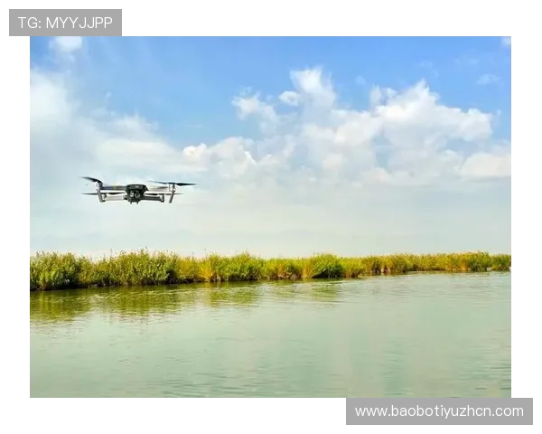 牛宝体育app隐私保护政策与用户权益保障措施详解确保用户信息安全与合法权益