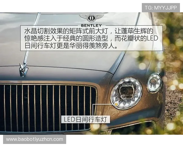 飞驰平台官网：如何通过飞驰官方平台进行车辆预约与试驾安排