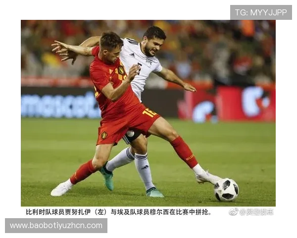 世界杯期间比利时与埃及国家队工作人员签证办理注意事项全攻略 世界杯期间比利时与埃及国家队工作人员签证办理注意事项全攻略